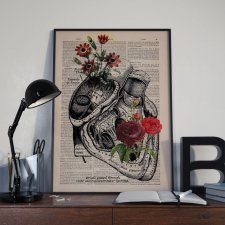 Plakaty Anatomy 30 x 40 (2sztuki)