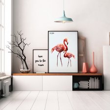 Flamingi