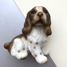 Springer Spaniel ❤ Sygnowany - Porcelana biskwitowa - Ręcznie malowany