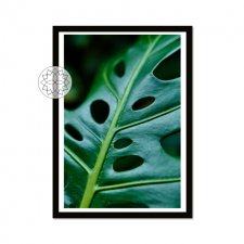 Plakat "Monstera" A3