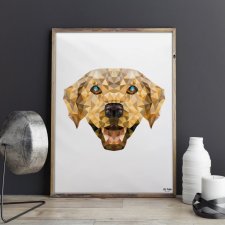 Pies labrador 50 x 70 cm