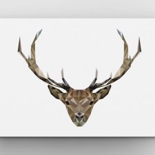 Jelonek Wild A3
