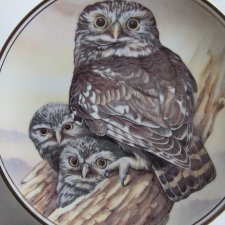 EDWARDIAN - LITTLE OWL - ATHENE NOCTUA - dekoracyjny, kolekcjonerski talerz porcelanowy