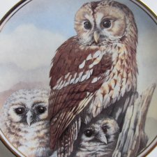EDWARDIAN - LITTLE OWL - STIX ALUCO  - dekoracyjny, kolekcjonerski talerz porcelanowy