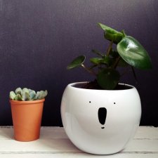 doniczka kula duża - koala