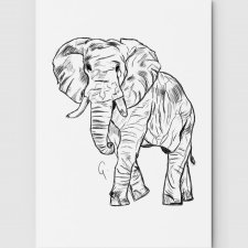Słoń rysowany A3