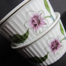 Royal  WORCESTER  - ASTLEY - FLAMEPROOF PORCELAIN - PARA PORCELANOWYCH NACZYNEK DO ZAPIEKANIA