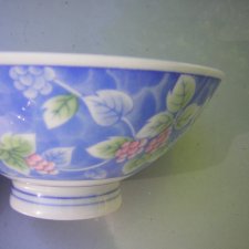 japońska szlachetność porcelanowa miska