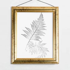 Plakat Do Samodzielnego Wydruku A4 "Paprotka", botaniczny plakat, liść paproci, vintage