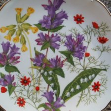 Royal albert  Wild Flowers zjawiskowy porcelanowy talerz kolekcjonerski  limitowana edycja bradex