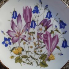 Royal albert  Wild Flowers zjawiskowy porcelanowy talerz kolekcjonerski  limitowana edycja bradex