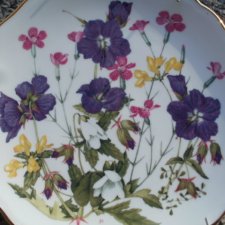 Royal albert  Wild Flowers zjawiskowy porcelanowy talerz kolekcjonerski  limitowana edycja bradex