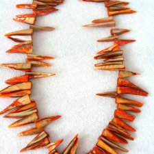 DRAPIEŻNY  NASZYJNIK