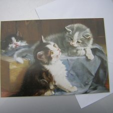 Nówka  Pocztówka cats & kittens