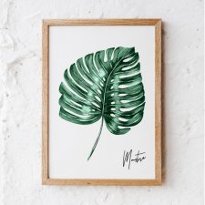 PLAKAT MONSTERA  21X29.7CM A4