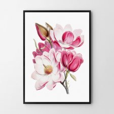 PLAKAT MAGNOLIA A3 -29,7x42cm
