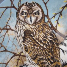 coalport 1990 by Michael  B. Sawdy - SHORT -EARED  OWL" -,  limitowana edycja - Bradex -   kolekcjonerski talerz porcelanowy