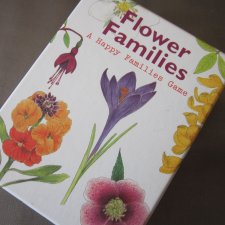 Flower  Families -A HAPPY FAMILIES GAME - ILLUSTRATIONS BY CHRISTINE  BERRIE 2017 DESIGN BY INCA STARZINSKY