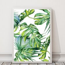 plakat egzotyczny - monstera (format A3)