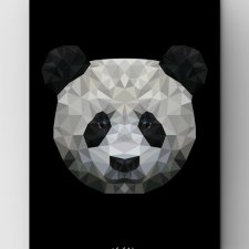 Panda BLACK A3