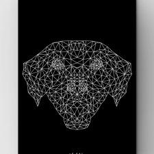 Pies outline BLACK A3