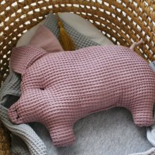 Poduszka świnka wrzosowa