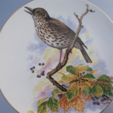 Royal GRAFTON - ptasio zdobiony - użytkowy  I dekoracyjny talerz porcelanowy