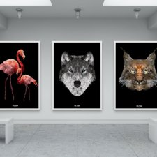 Dowolny plakat z kolekcji Wild Black A4