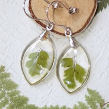 Kolczyki liście paproci