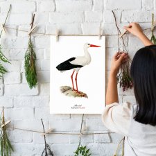 Plakat bocian ptak made in Poland A3