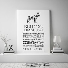 Obraz na płótnie -  typograficzny Buldog Francuski