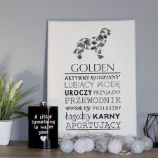 Obraz na płótnie -  typograficzny Golden Retriever