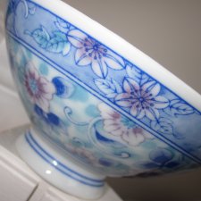 japońska szlachetność porcelanowa miska