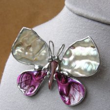 Broszko - wisior: Motyl z tęczową muszlą