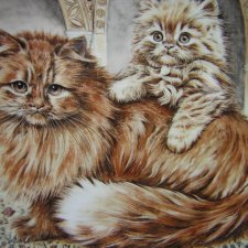 ROYAL WORCESTER 1990 - cats & kittens - cream  persian - kolekcjonerski talerz porcelanowy