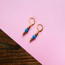 WHW Taste Earrings Sodalite