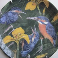 WEDGWOOD - FLEDGLINGS BY DICK TWINNEY  - KINGFISHERS