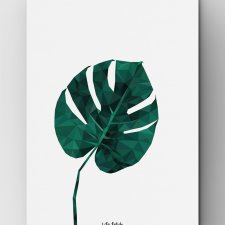 Monstera B2