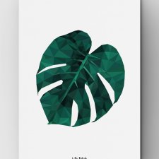 Monstera 2 | B2