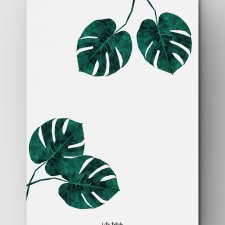 Monstera 3 | B2