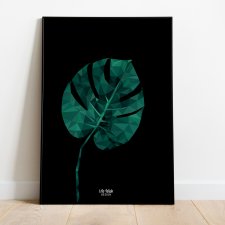 Monstera Black B2