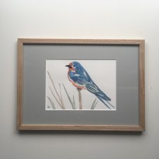 Akwarela - ptak, Dymówka