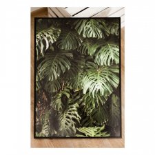 Monstera deliciosa 50/70 - Plakat Kuklafotografia