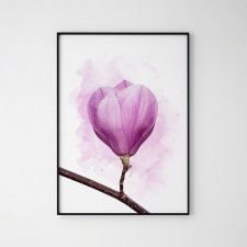 Plakat magnolia kwiat 40x50 cm