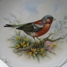 Royal Albert 1982      The Woodland Birds Collection