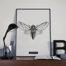 Plakat Insekt