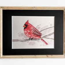 Akwarela - Ptak, Kardynał Szkarłatny
