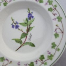 Portmeirion Welsh Wild Flowers  made in Britain rzadko spotykana seria