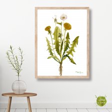 Ilustracja w ramce - Mniszek 30x40