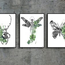 Plakaty zestaw - NATURA - robale zielone 30x40cm
